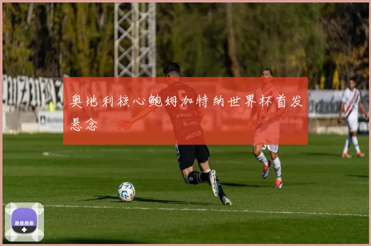 奥地利核心鲍姆加特纳世界杯首发悬念