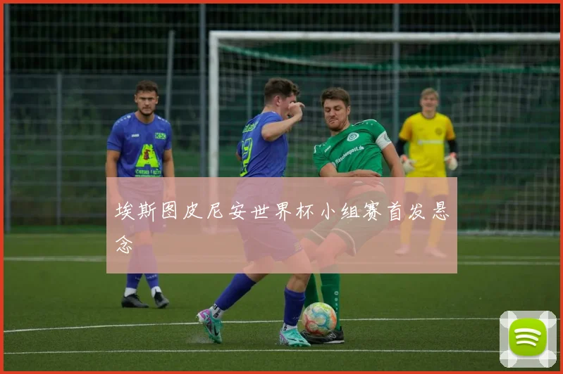 埃斯图皮尼安世界杯小组赛首发悬念