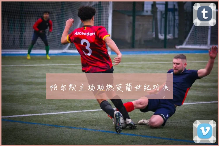 帕尔默主场助燃英葡世纪对决
