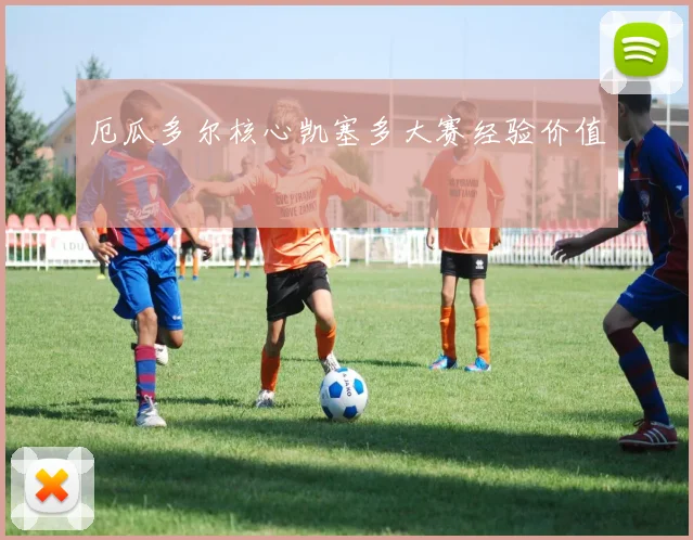 厄瓜多尔核心凯塞多大赛经验价值