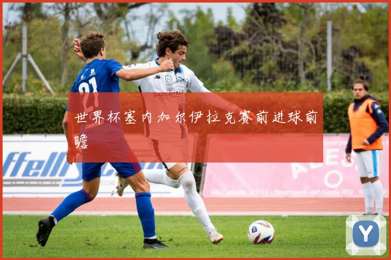 世界杯塞内加尔伊拉克赛前进球前瞻