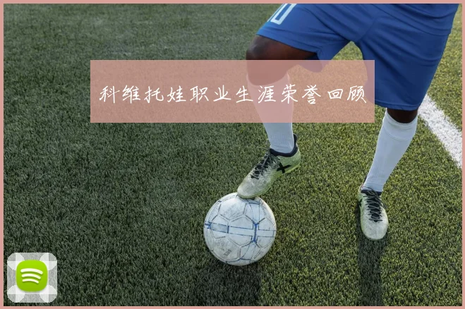 科维托娃职业生涯荣誉回顾