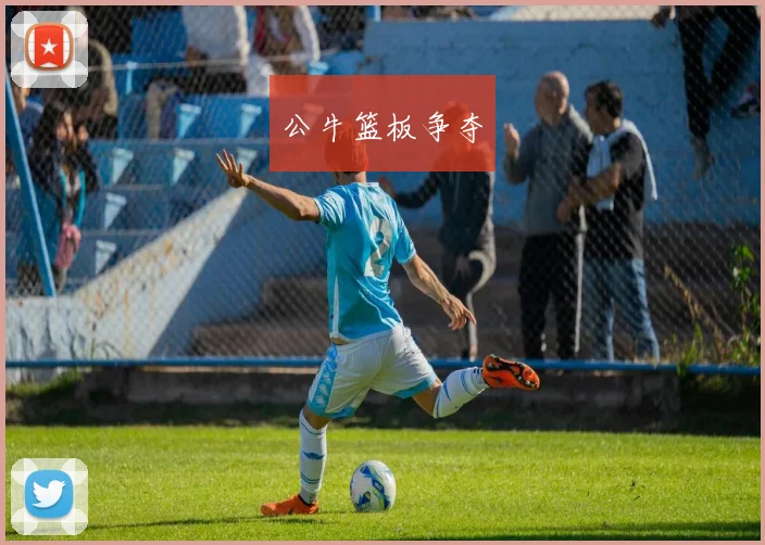 公牛篮板争夺