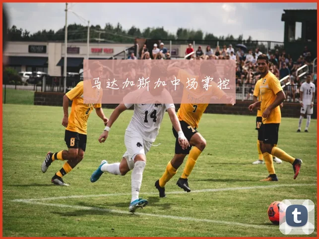 马达加斯加中场掌控