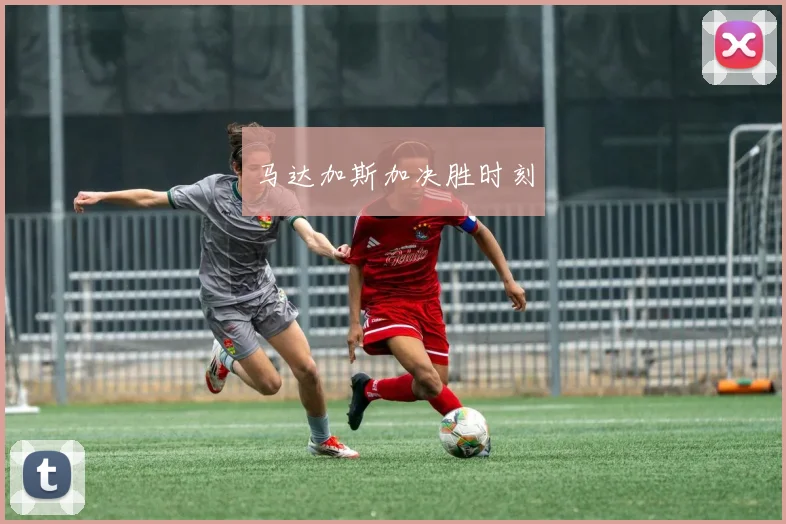 马达加斯加决胜时刻