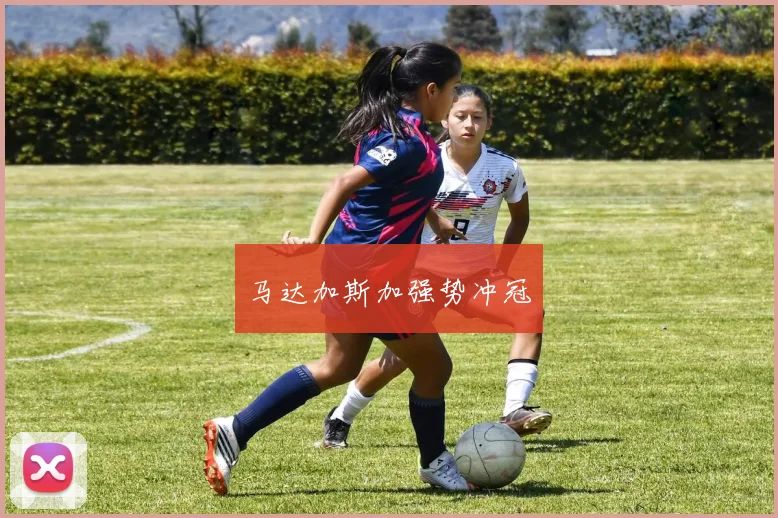 马达加斯加强势冲冠