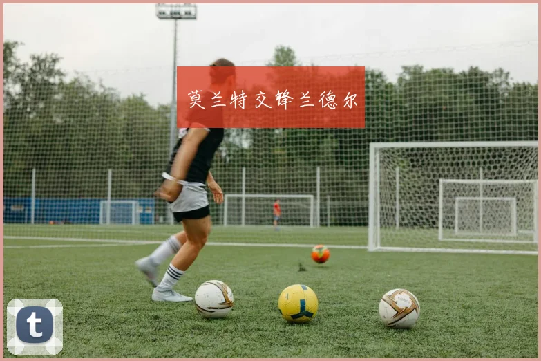 莫兰特交锋兰德尔