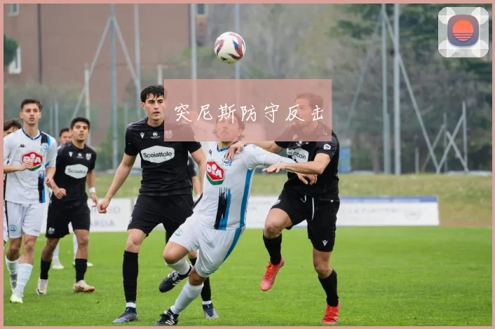 突尼斯防守反击