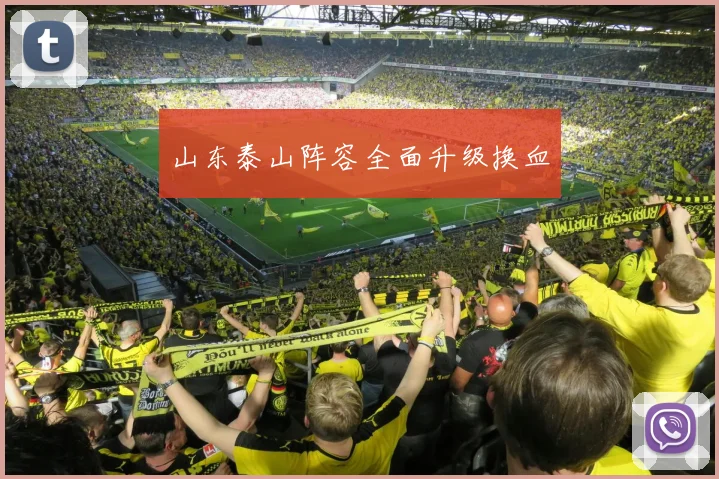山东泰山阵容全面升级换血