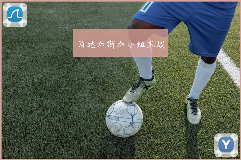 马达加斯加小组末战