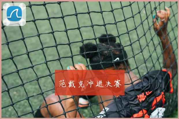 范戴克冲进决赛