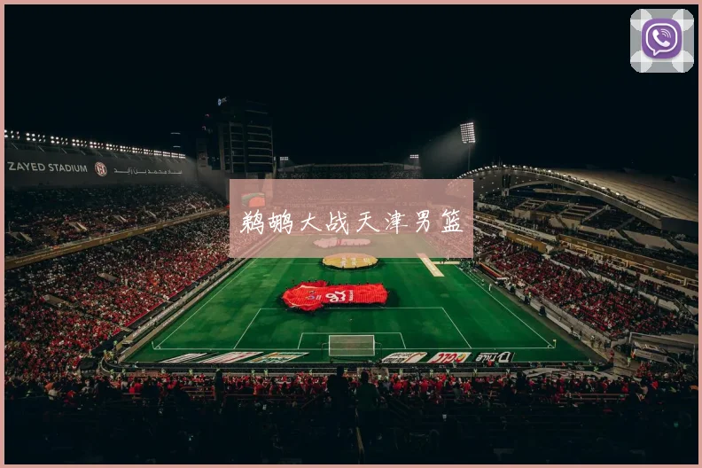 鹈鹕大战天津男篮