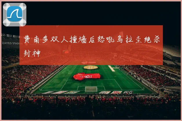 费南多双人撞墙后怒吼乌拉圭绝杀封神
