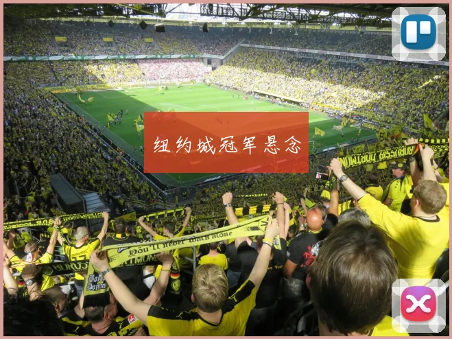 纽约城冠军悬念