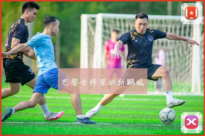 巴黎会师深圳新鹏城