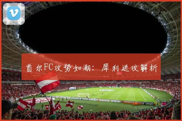 首尔FC攻势如潮：犀利进攻解析