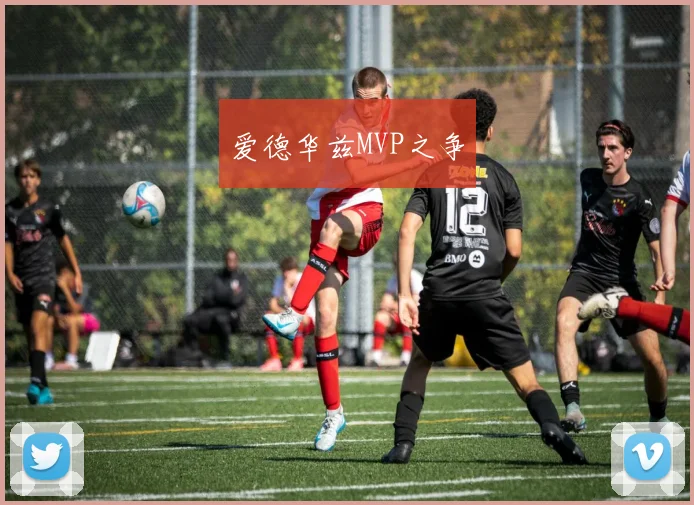 爱德华兹MVP之争