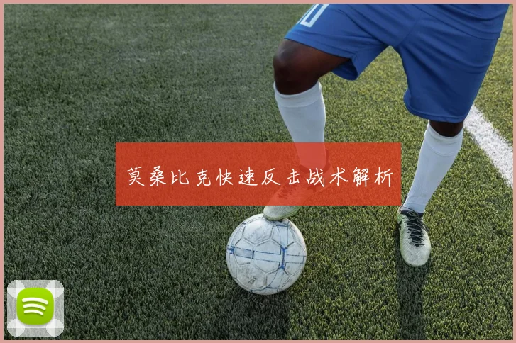 莫桑比克快速反击战术解析