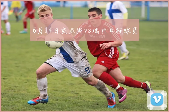 6月14日突尼斯vs瑞典年轻球员